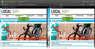 Adobe BrowserLab lets you test your site across multiple browsers and platforms. You can even do side-by-side comparisons as seen here.