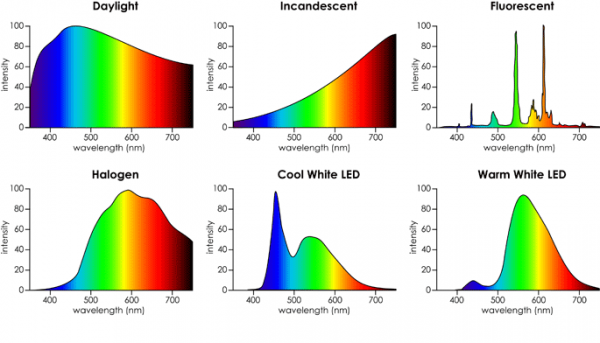 Color Temperature of Different Bulbs