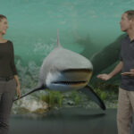 Ultimatte Transforms Visual Effects for Shark Attack 360